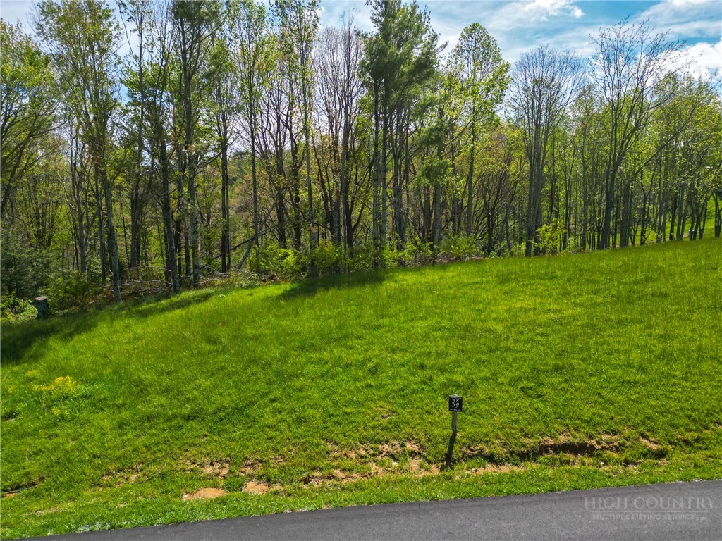 Image number 1 for the current listing