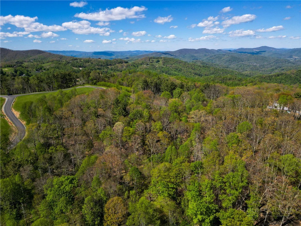 Image number 3 for the current listing