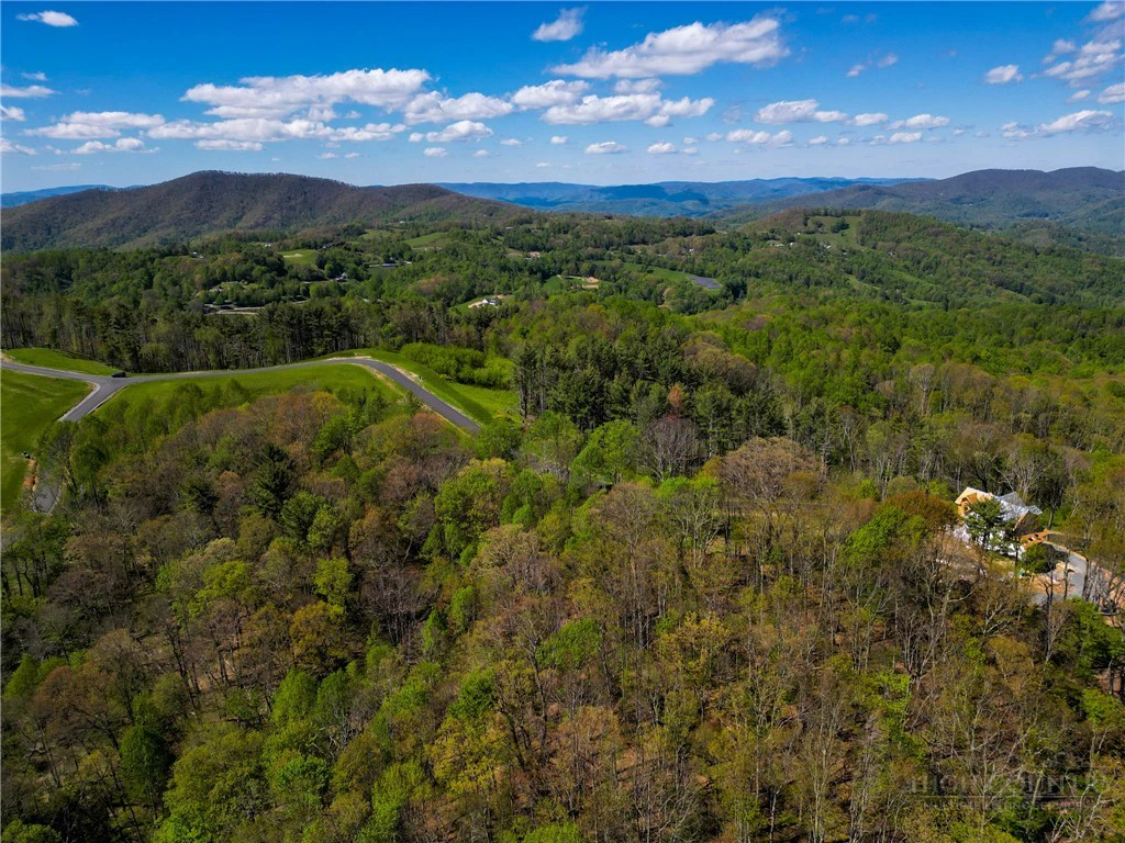 Image number 4 for the current listing