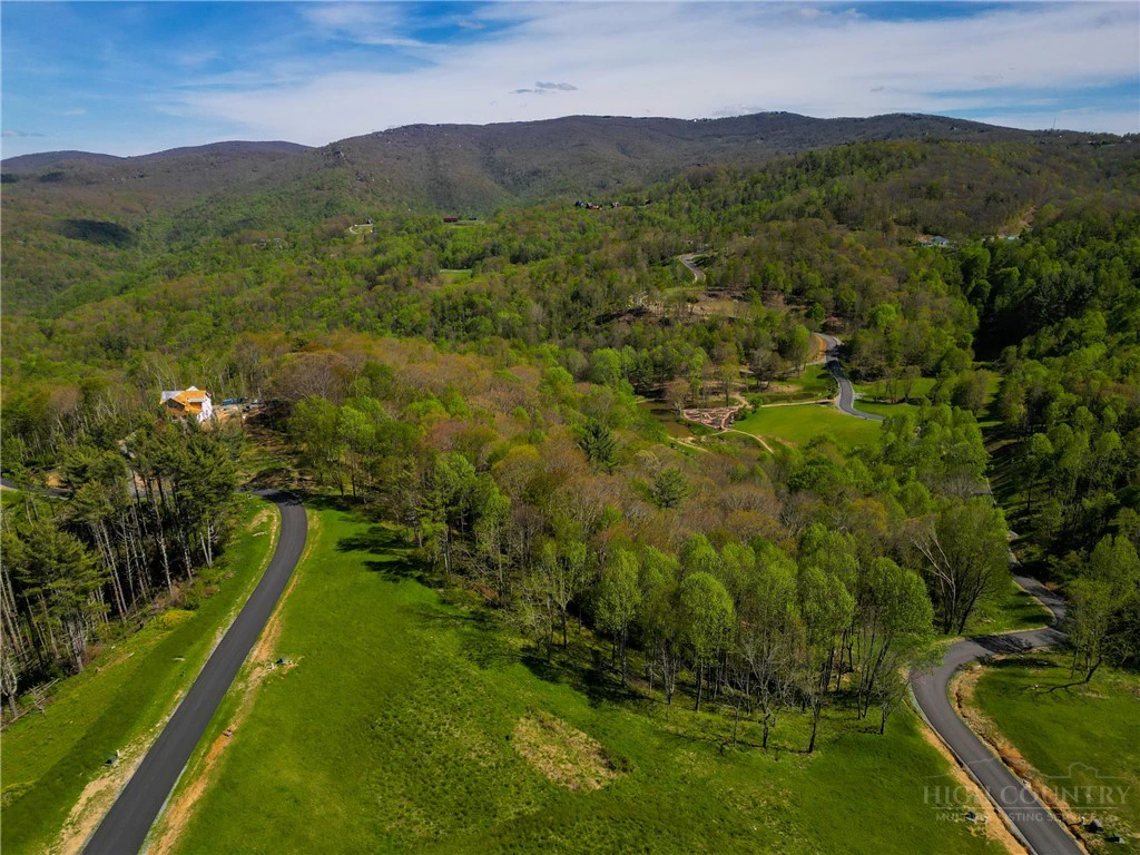Image number 5 for the current listing