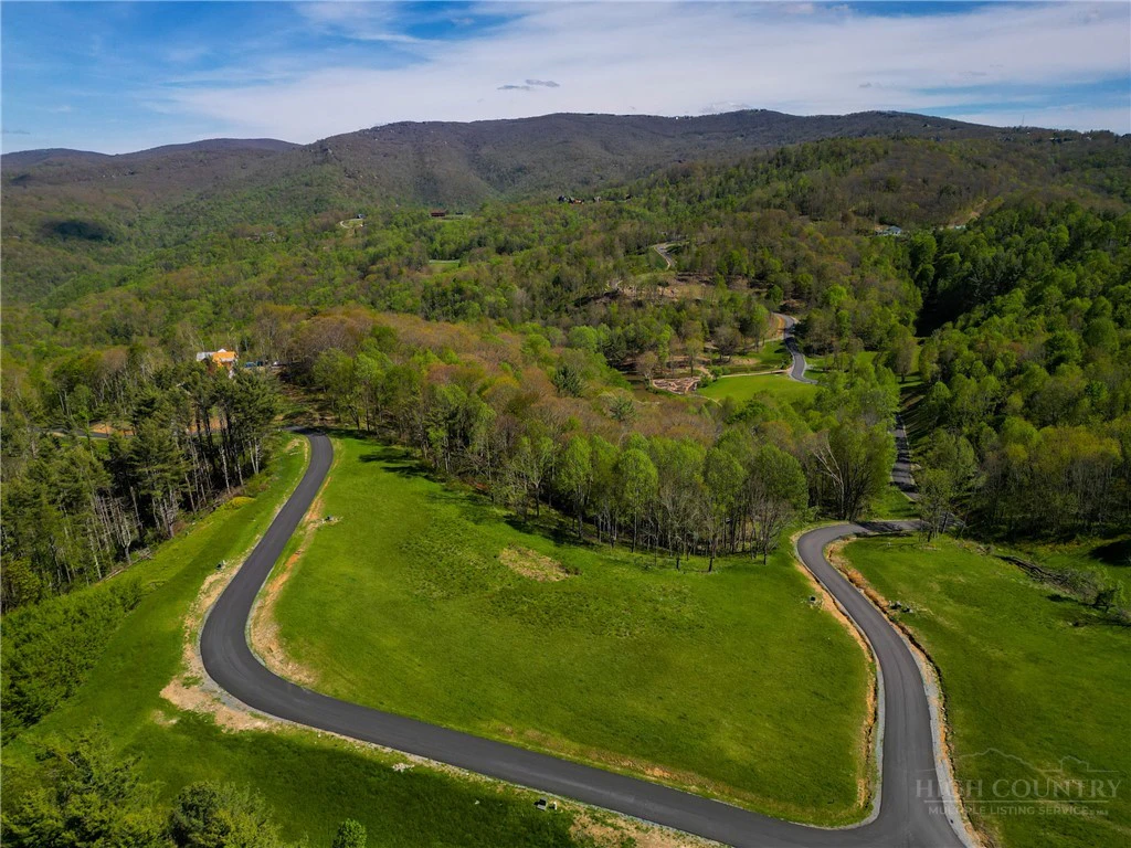 Image number 8 for the current listing