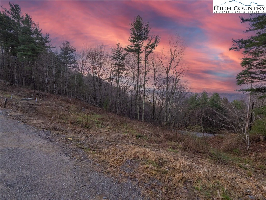 Image number 2 for the current listing