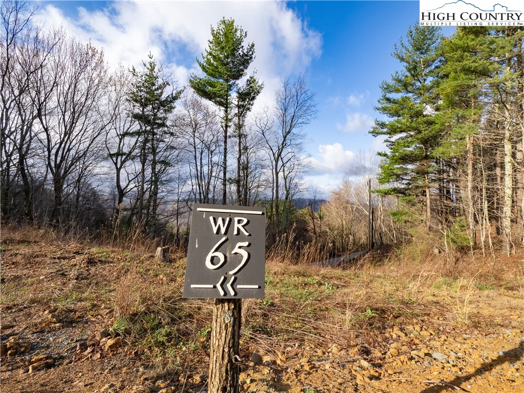 Image number 1 for the current listing