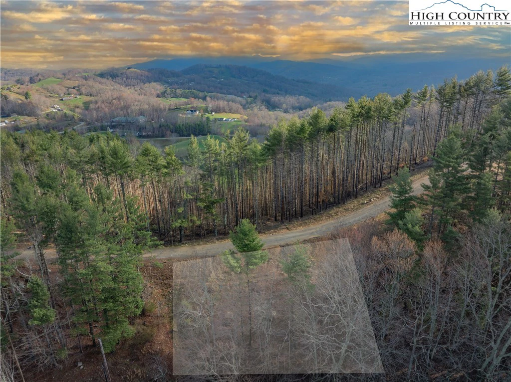 Image number 3 for the current listing