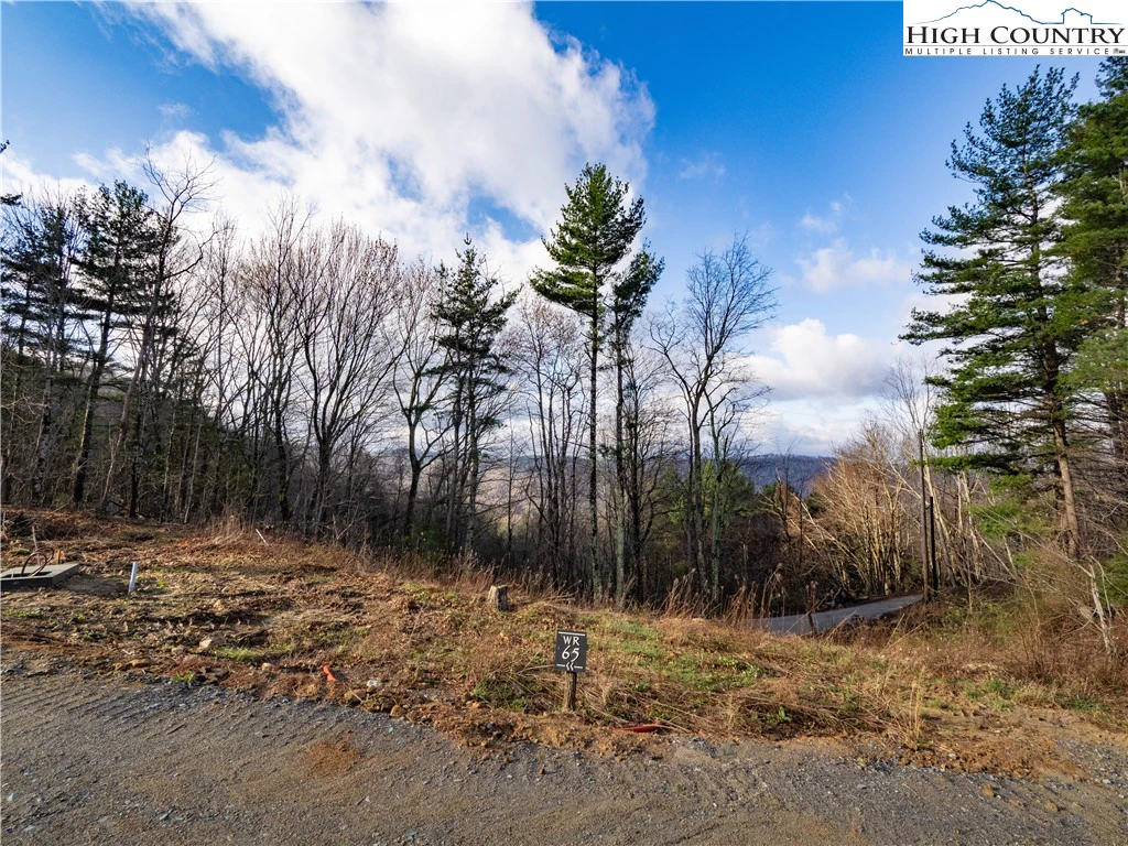Image number 6 for the current listing
