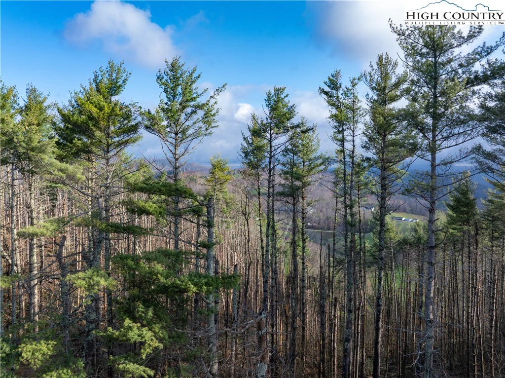 Image number 9 for the current listing