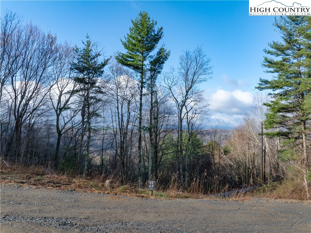 Image number 10 for the current listing