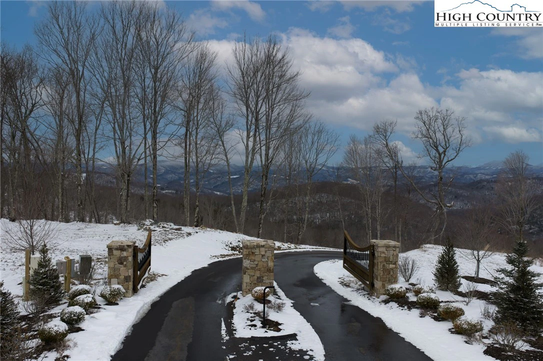 Image number 1 for the current listing