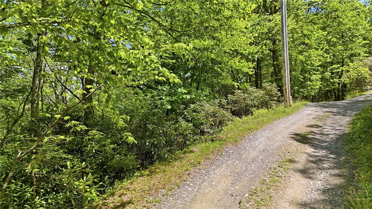 Image number 3 for the current listing