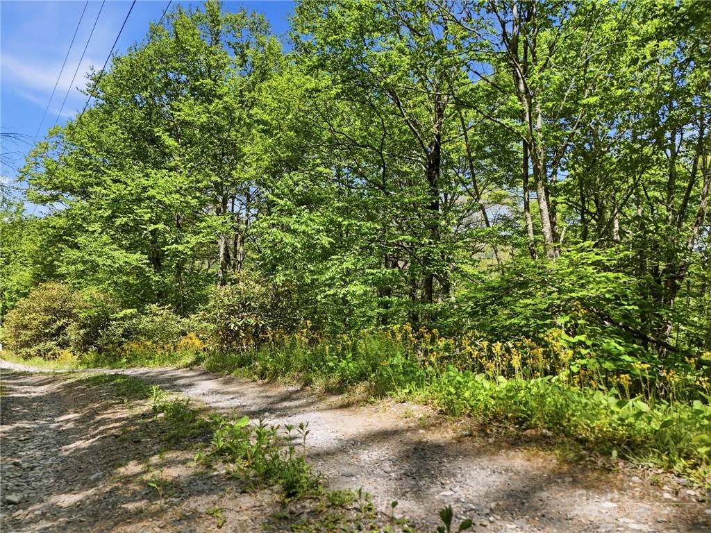 Image number 5 for the current listing