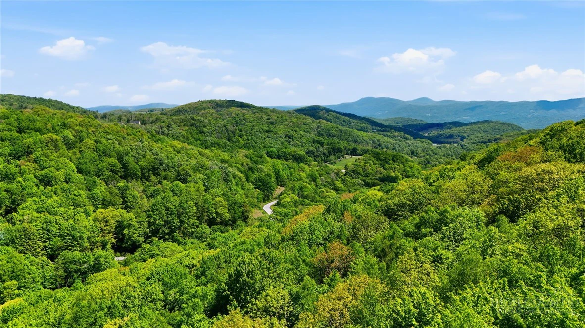 Image number 7 for the current listing