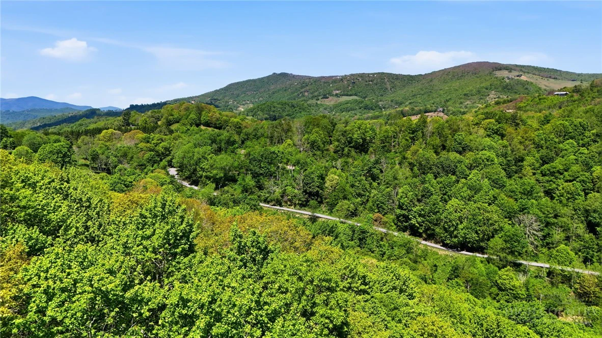 Image number 8 for the current listing