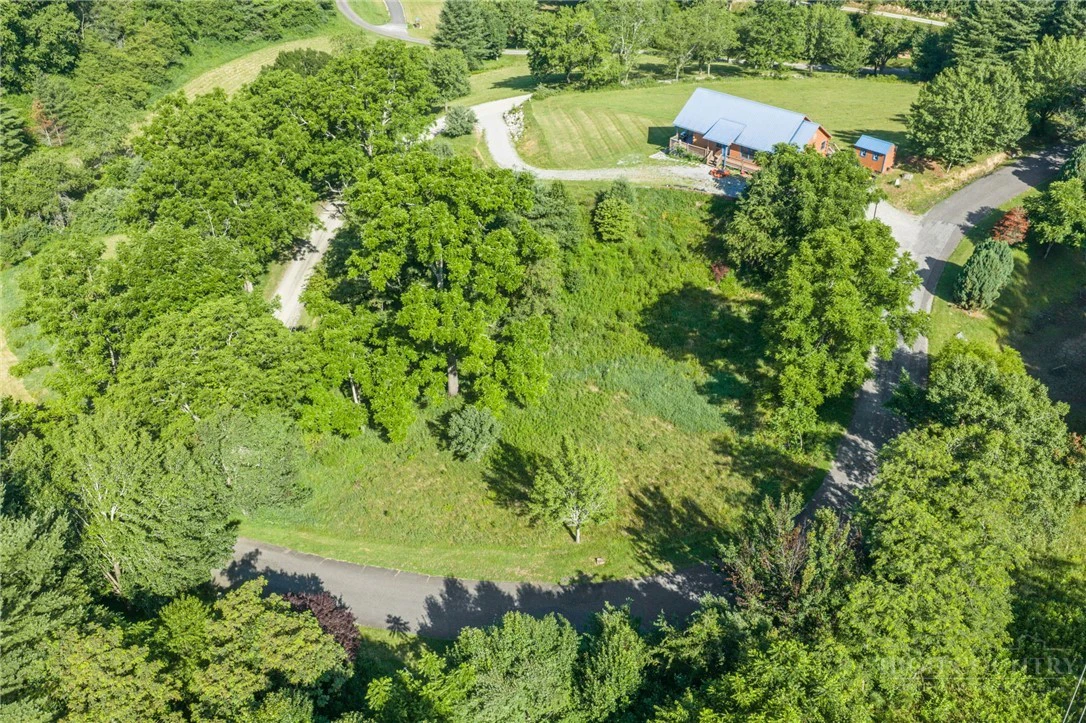 Image number 8 for the current listing