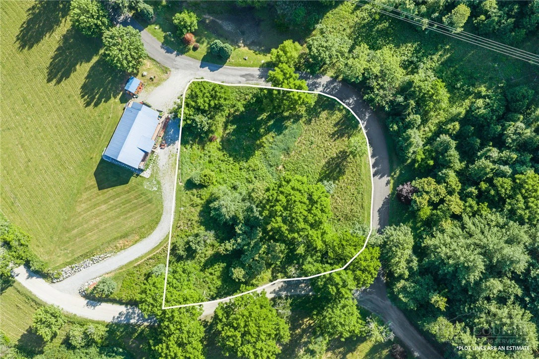 Image number 1 for the current listing