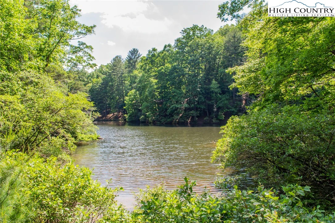 Image number 13 for the current listing