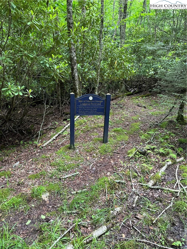 Image number 7 for the current listing
