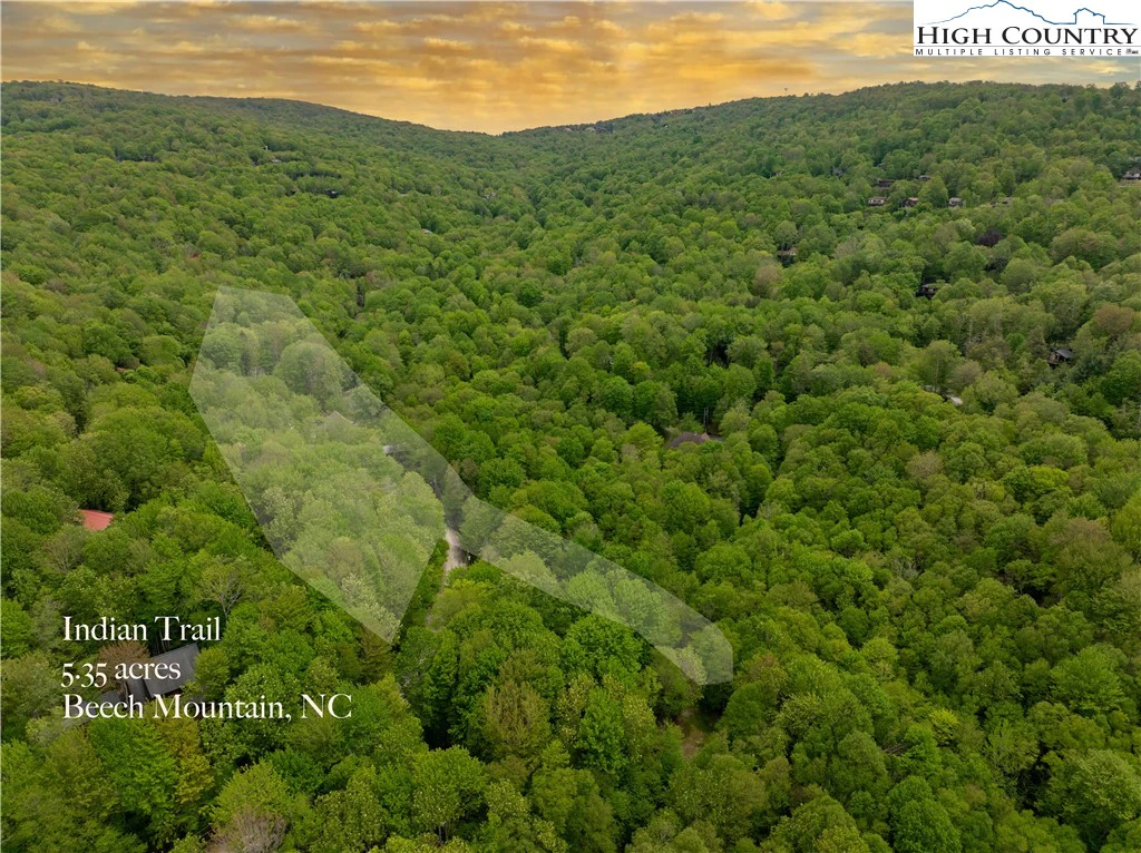 Image number 2 for the current listing