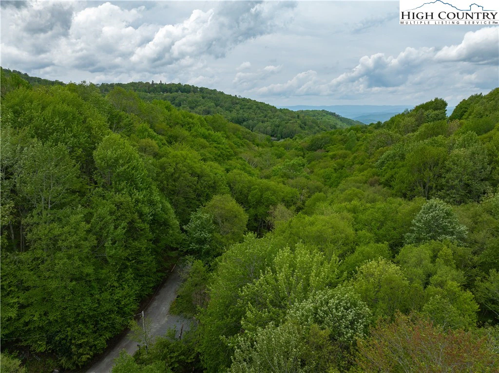 Image number 3 for the current listing