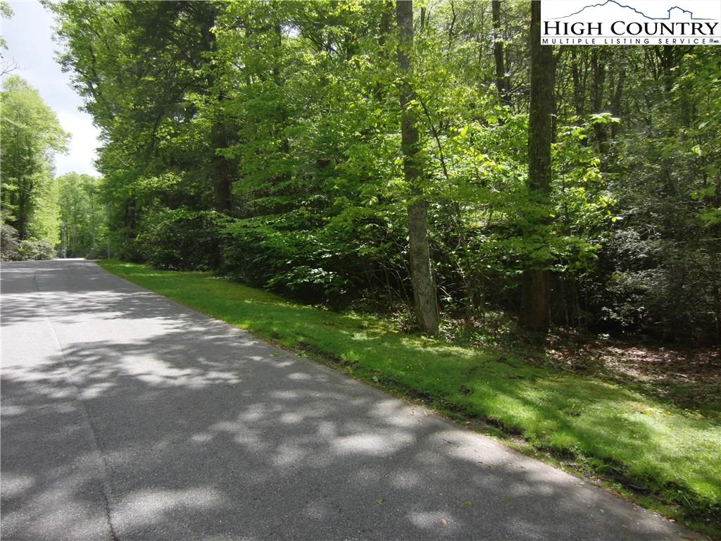 Image number 9 for the current listing