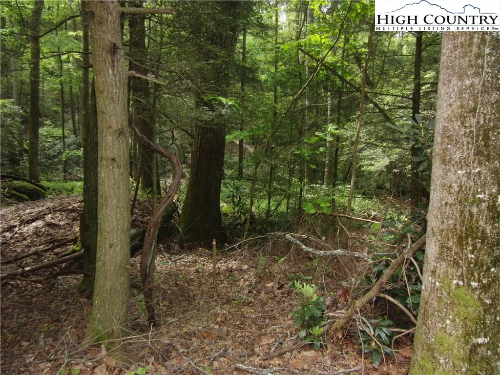 Image number 15 for the current listing