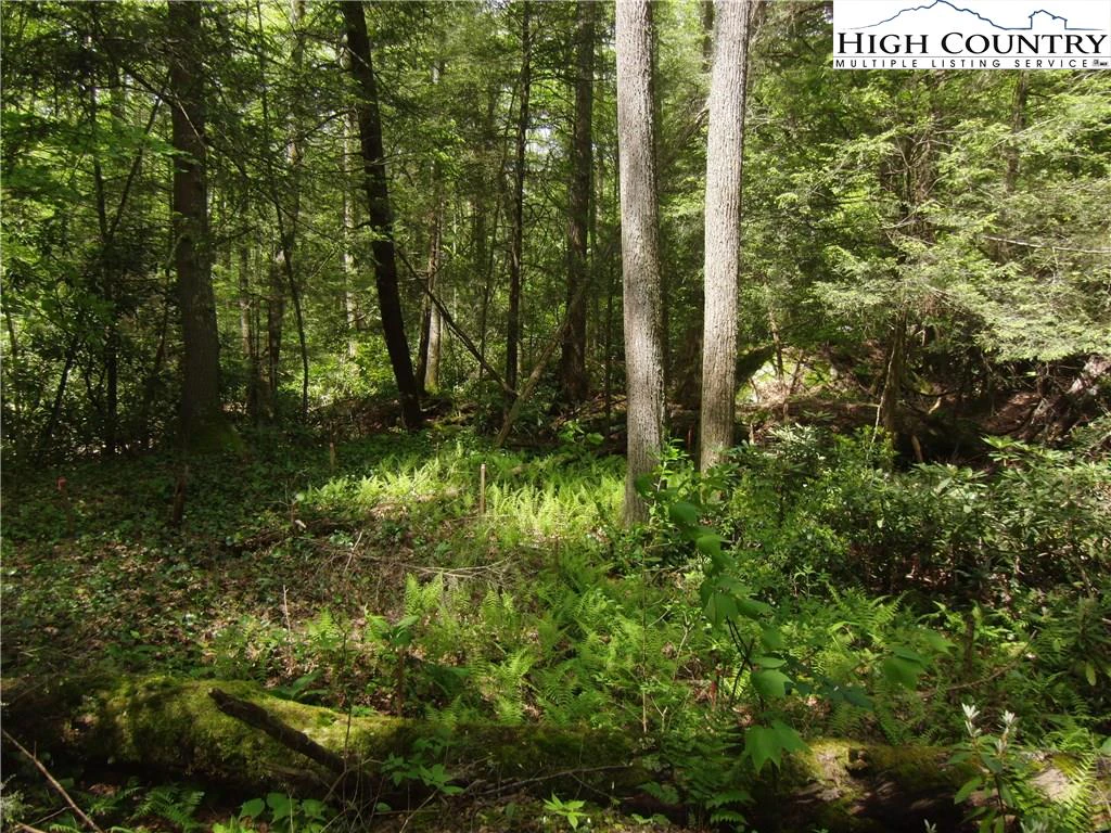 Image number 14 for the current listing