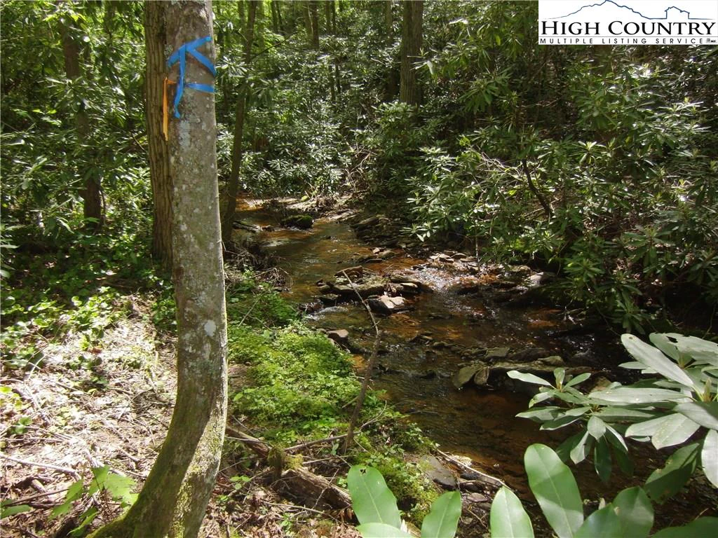 Image number 13 for the current listing