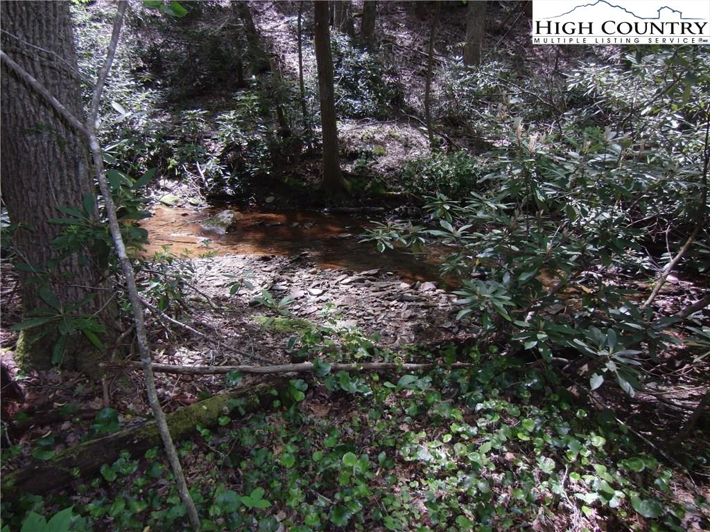 Image number 12 for the current listing