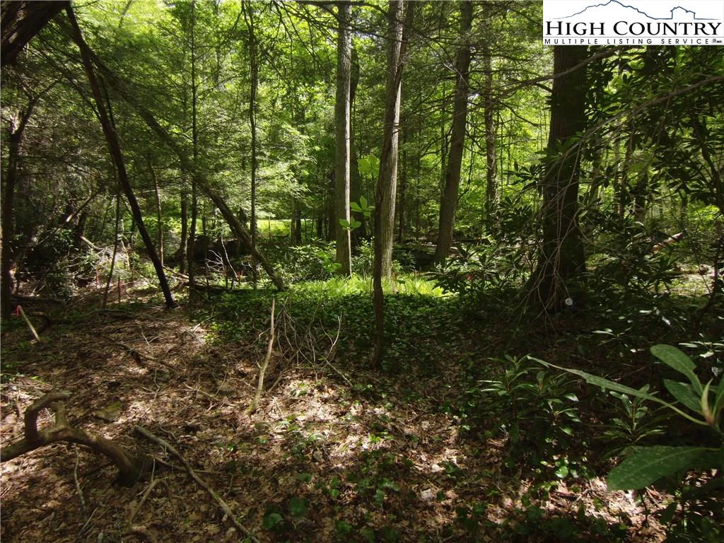 Image number 11 for the current listing
