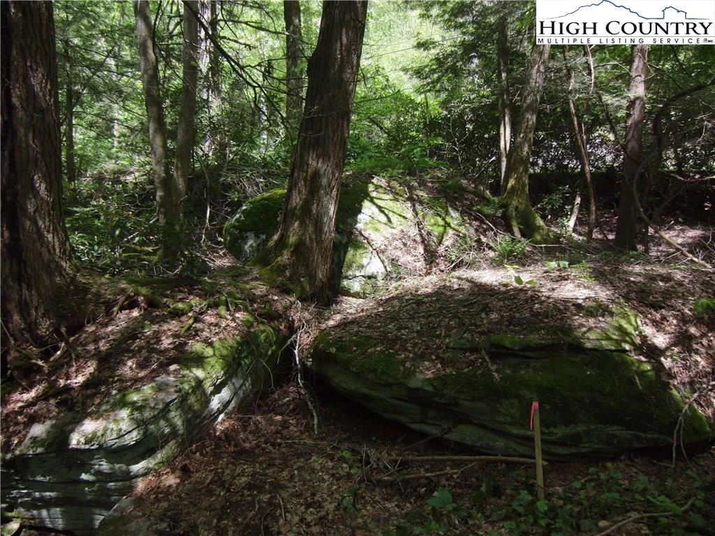 Image number 2 for the current listing