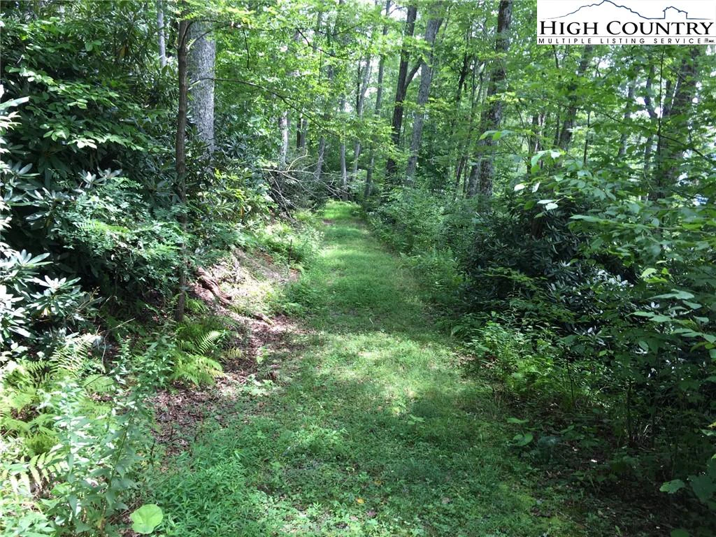 Image number 1 for the current listing