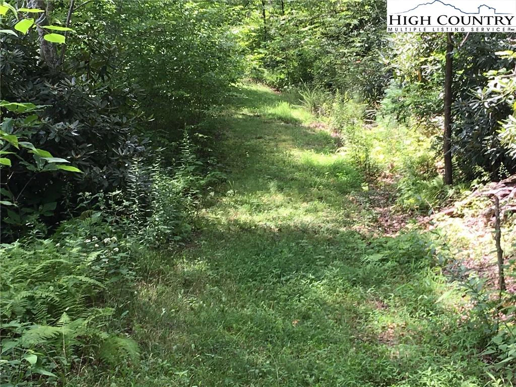 Image number 11 for the current listing