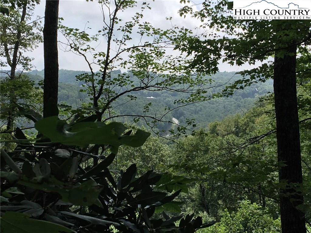 Image number 4 for the current listing