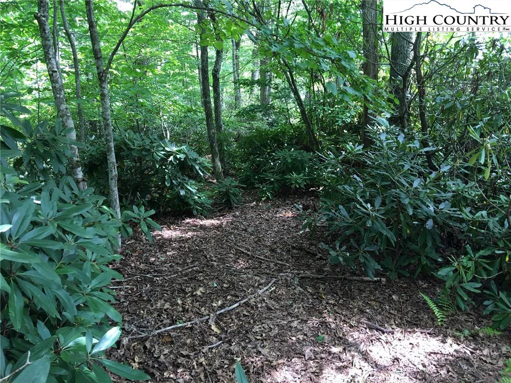 Image number 6 for the current listing