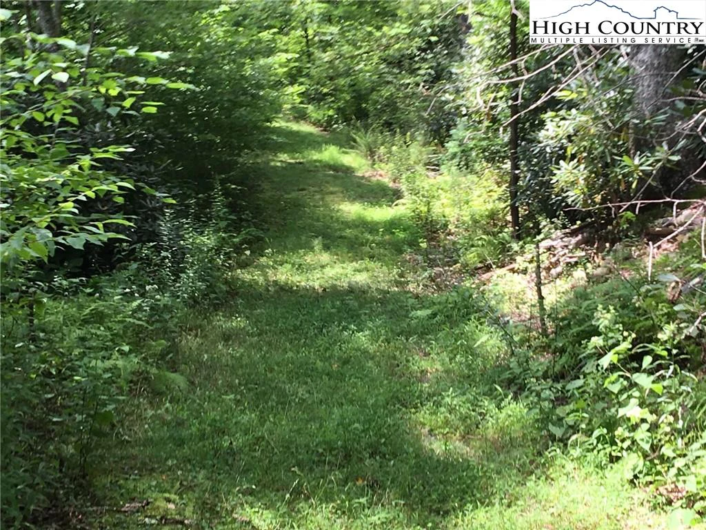 Image number 10 for the current listing