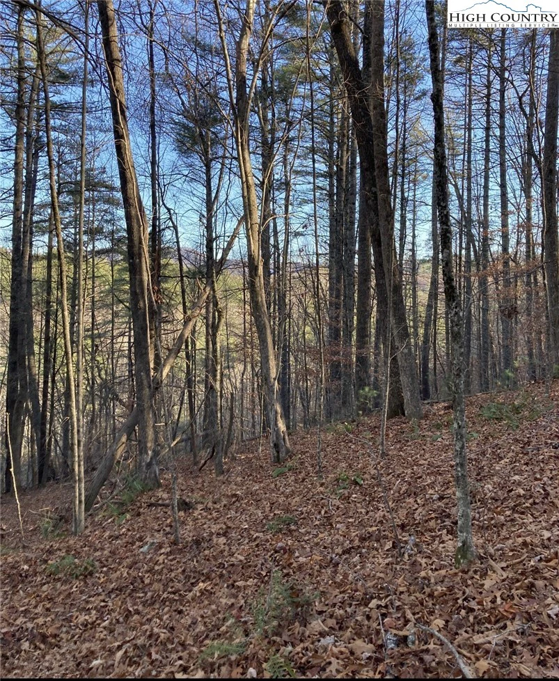 Image number 1 for the current listing