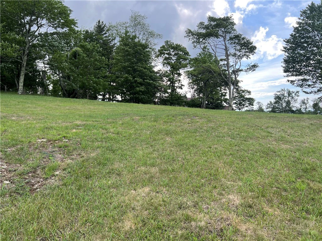Image number 3 for the current listing