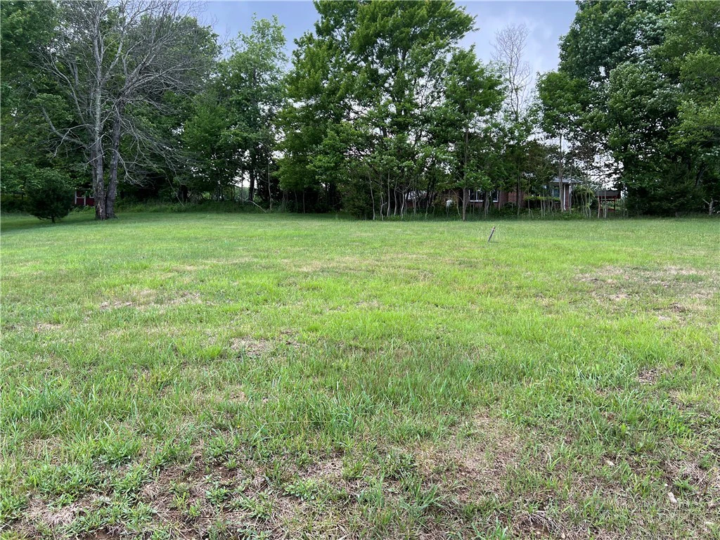 Image number 4 for the current listing