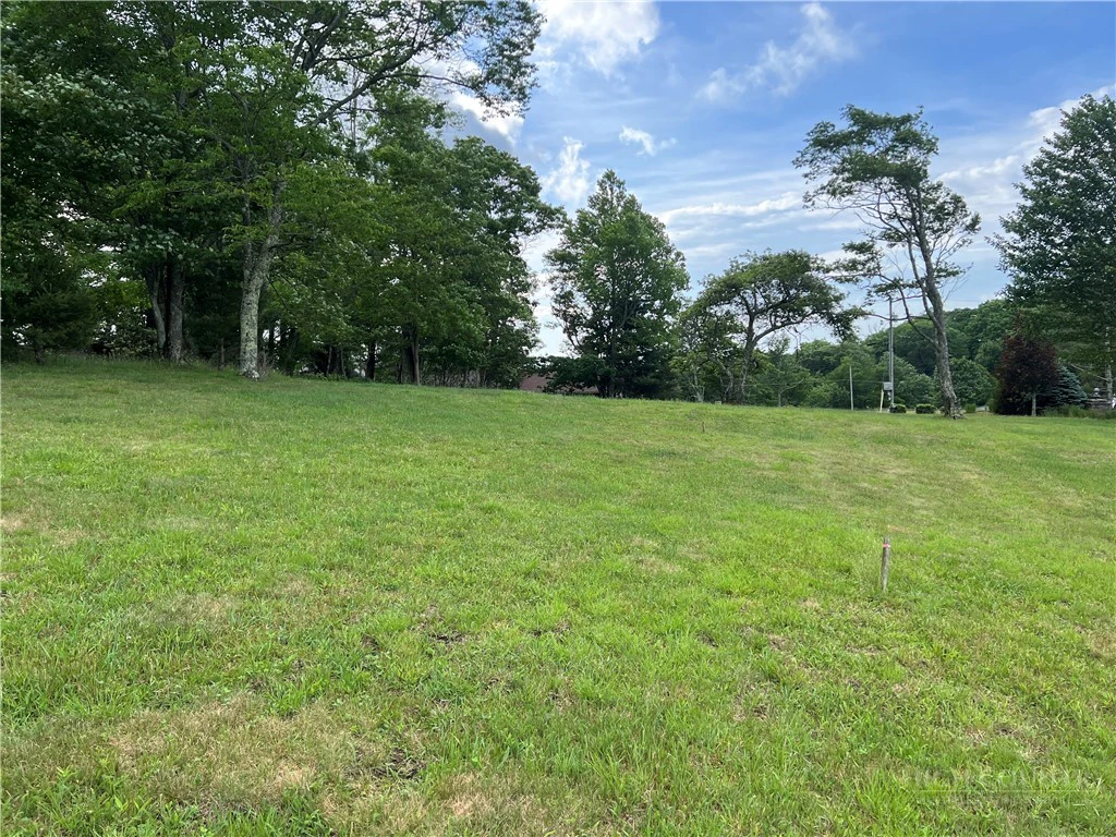 Image number 5 for the current listing