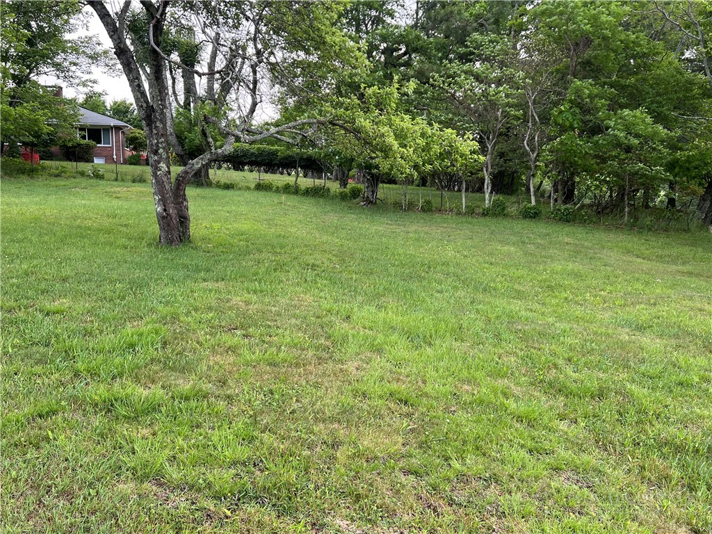 Image number 6 for the current listing