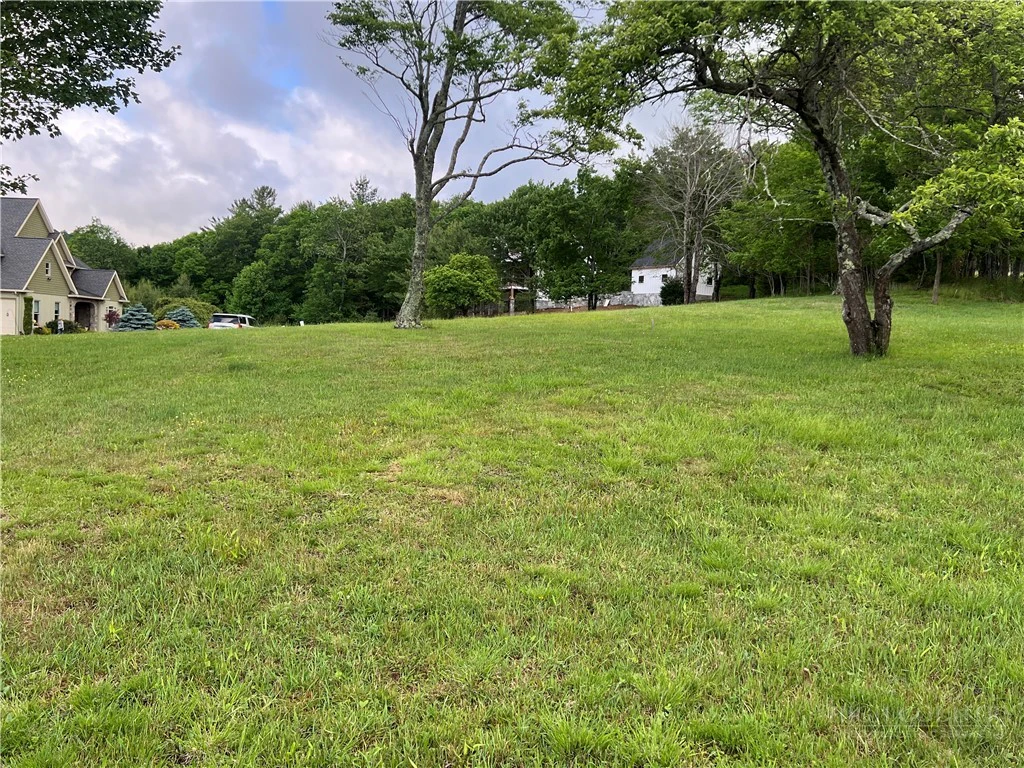 Image number 7 for the current listing