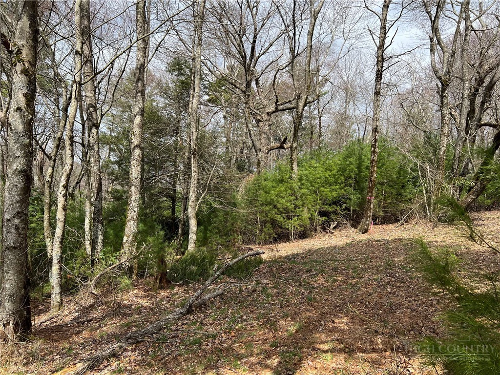 Image number 9 for the current listing