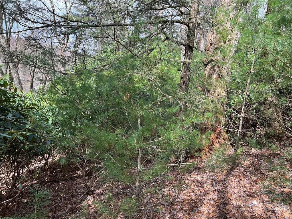 Image number 10 for the current listing