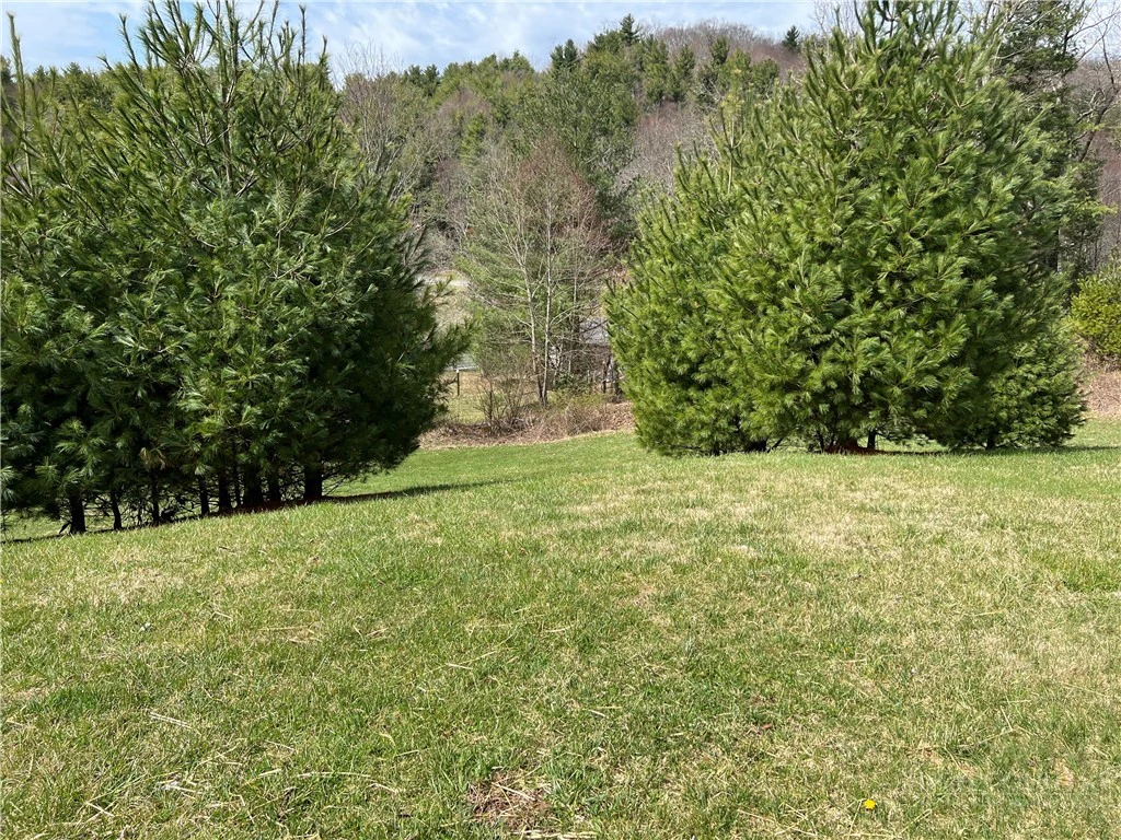 Image number 12 for the current listing