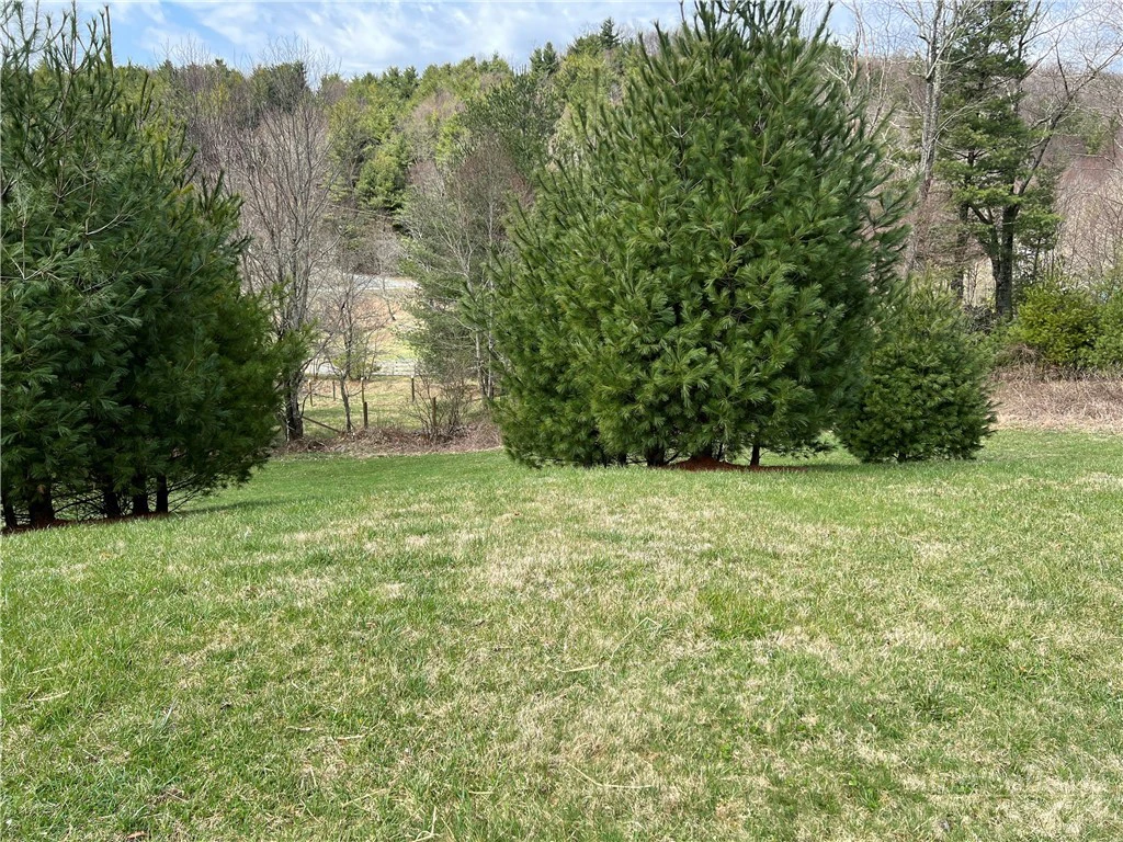 Image number 13 for the current listing