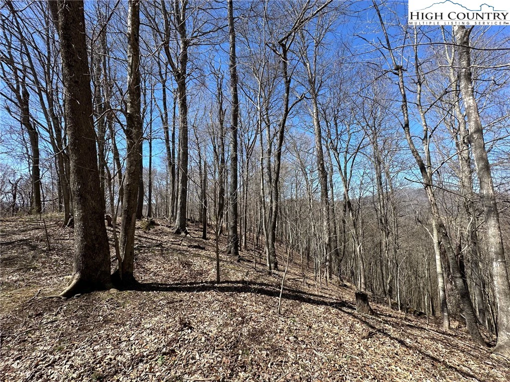Image number 5 for the current listing