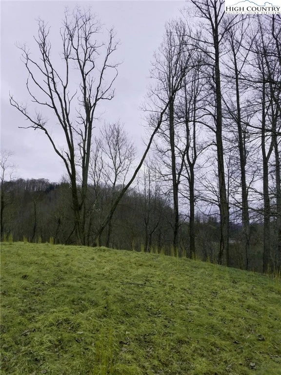 Image number 12 for the current listing