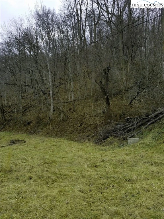 Image number 13 for the current listing