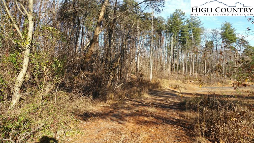 Image number 3 for the current listing