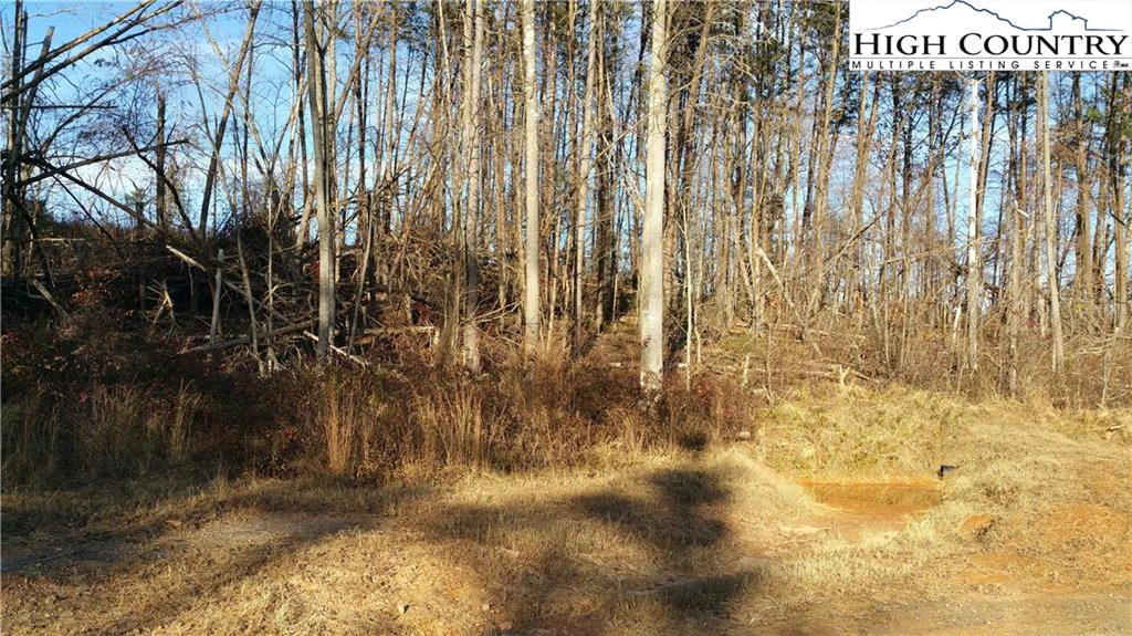 Image number 6 for the current listing