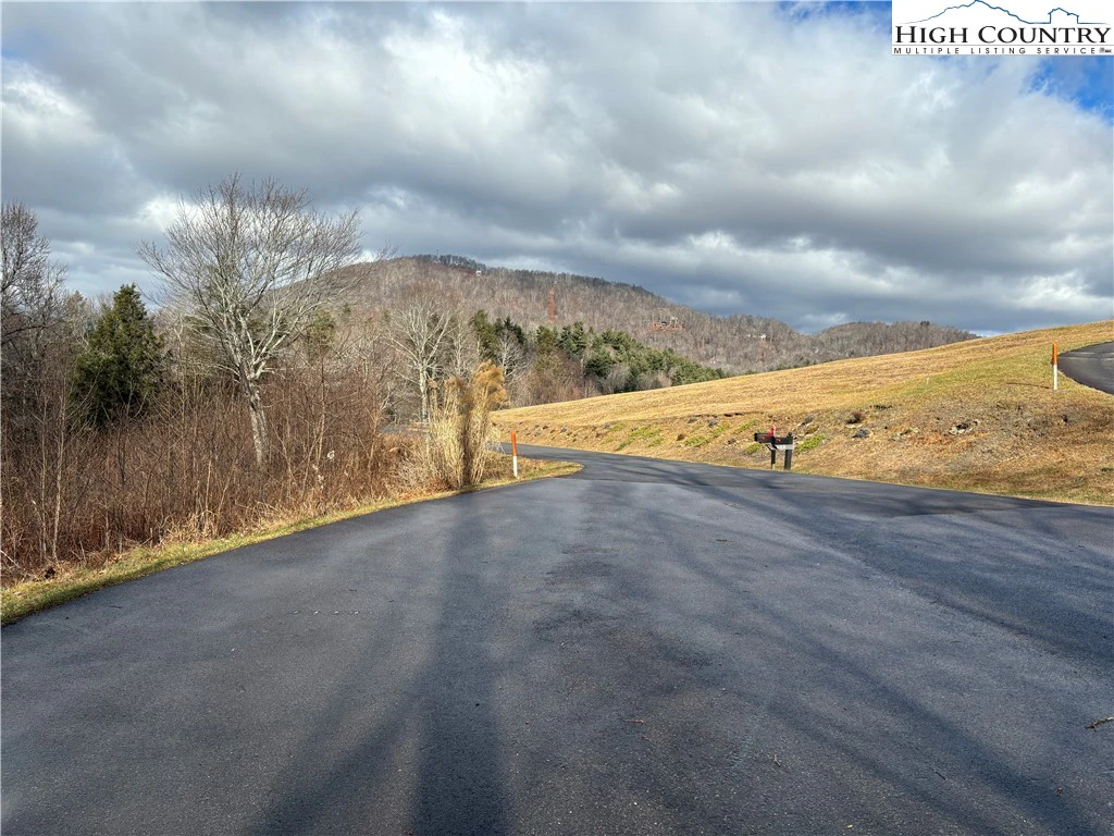 Image number 1 for the current listing